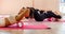 A group athletic women doing pilates or yoga on pink mats in front of a window in a beige loft studio interior. Teamwork