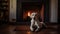 Group of Baby Labrador Retrievers by the Fireplace