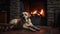 Group of Baby Labrador Retrievers by the Fireplace