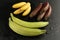 Group of bananas on black background