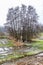 Group of bare trees surrounded by puddles, accumulation of water and remains of snow on the ground