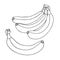 Group of beautiful bananas isolated on a white background. Illustration for coloring book. Fruit doodle