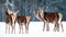 Group of beautiful female graceful deer on the background of a snowy winter forest. Noble deer Cervus elaphus.