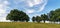 Group of beautiful oak trees on a hilltop meadow in summer time with light clouds
