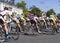 Group of bicycle racers