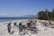 Group of bicycles parked on the White Sand