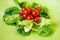 Group of bio tomatoes on a bed of lettuce on fresh green background