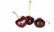 Group of black fresh cherry