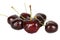 Group of black fresh cherry