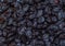 Group of black prunes. pattern