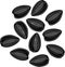 Group of Black sunflower seeds on white background