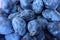 Group of blue ripe damson plums