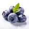 A group of blueberries with a leaf on top, art project in primary school, on white background