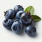 A Group of Blueberry Fruits,  on White Background - Generative AI