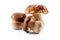 Group boletus mushroom isolated on white background.Boletus mushrooms, Porcini Mushroom, Forest, Edible Mushroom