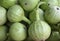 A group of Bottle Gourd