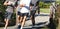 Group of boys crossing wood bridge running together