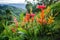 a group of bright, tropical flowers on a lush hillside