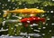 A Group of Brightly Colored Koi Swimming in a Garden Pond