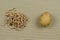 Group of broken off sprouts and one raw potato on a brown background