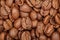 Group of brown coffee grains background, macro, close-up