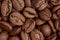 Group of brown coffee grains background, macro, close-up