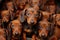 A group of brown dachshunds sitting in a bucket. Generative AI image.