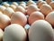 Group of brown eggs on a eggtray chiken