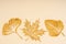 Group of brown leaves made from carve paper or cutting on yellow background