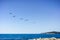 A group of brown pelicans flying close to the shoreline on a sunny day, Carmel-by-the-Sea, Monterey Peninsula, California