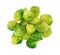 Group Brussel Sprouts Top View