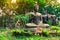 Group of buddha statues sitting and standing in forest.