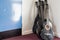 Group of budget classical acoustic guitars in corner of music room