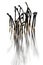 A group of burnt matches standing in white background