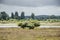 Group of bushes in the floodplains