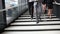 Group of business people walking at stairs