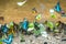 Group of butterflies puddling on the ground and flying in nature