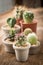 Group of cactus on on the wood background