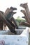 A group of camels drinking water.