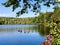 A group of canada geese swimming on the lake