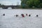 Group of canoeists breaks out for a trip on the water
