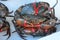 Group of captured living Freshwater crab, banded shell animal in ocean fresh market seafood restaurant, pregnant seafood, deliciou