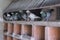 group of carrier pigeons resting