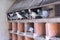 group of carrier pigeons resting