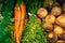 Group of Carrots and rutabaga and other vegetables