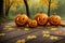 A group of carved jack-o-lantern pumpkins sitting on top of a wooden table or road in front of a forest filled with