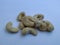 Group of Cashews in a white background. Nuts of Cashew heap on white background