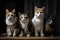 group of cats sitting together, looking into the camera with curious and playful expressions