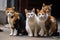 a group of cats, their eyes shining with curiosity, watching the viewer