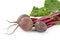 Group of chard with three beetroots on white background